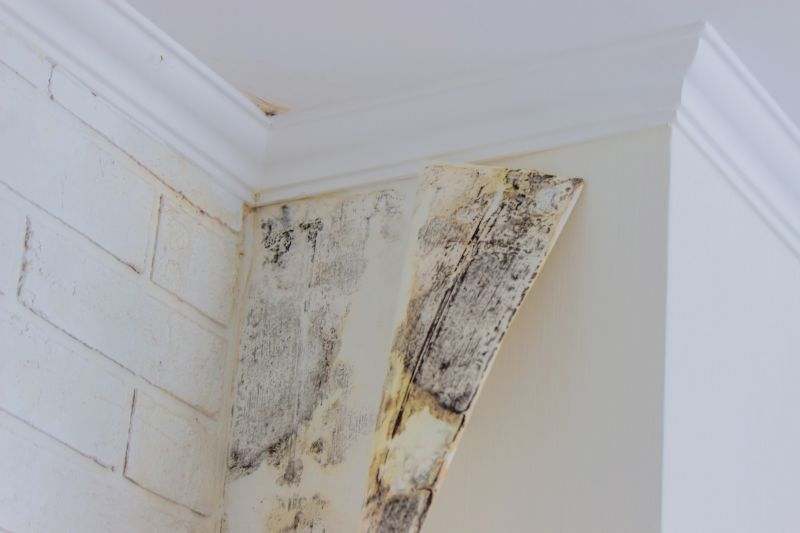 Air Duct Mold Removal in Bergen County, NJ