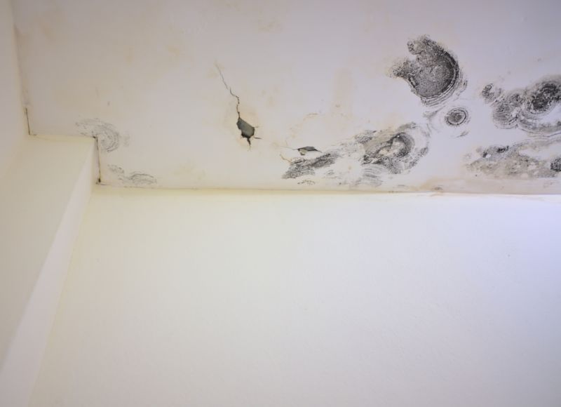 Attic Mold Remediation in Fort Worth, TX