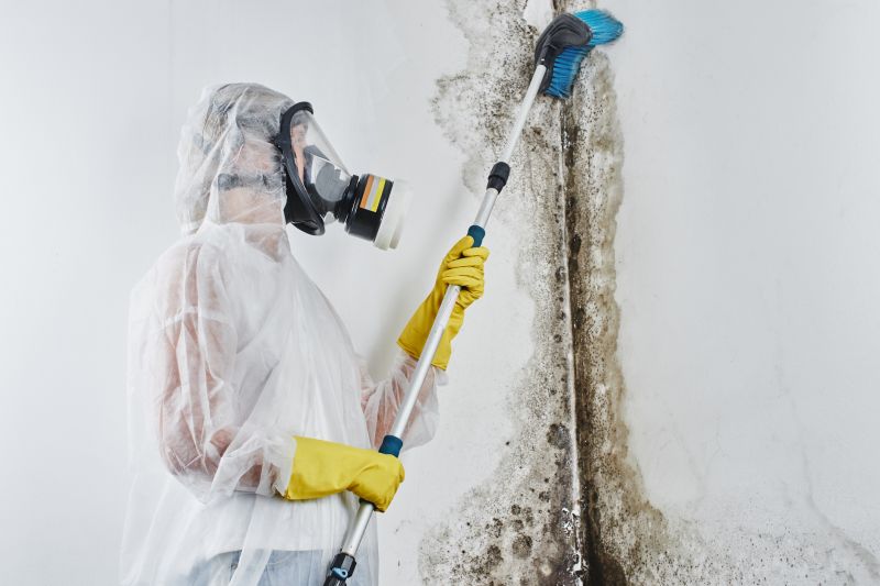 Attic Mold Remediation in Essex County, NJ