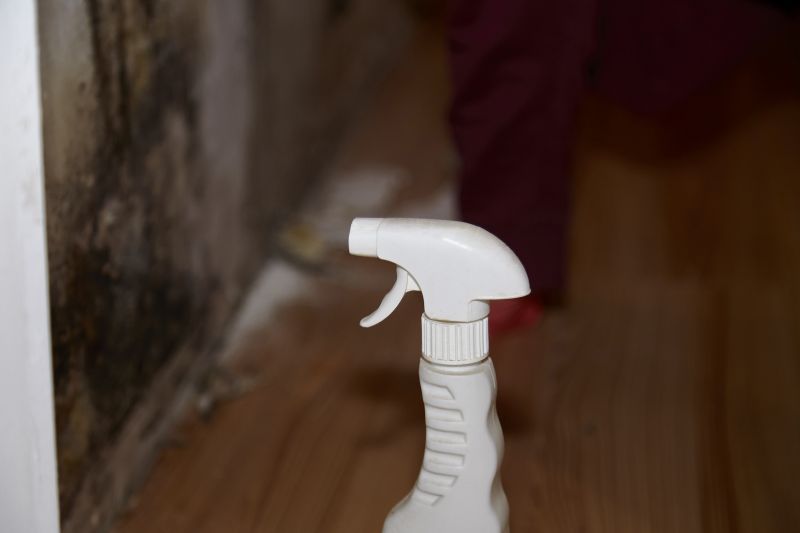 Attic Mold Removal in Jupiter, FL