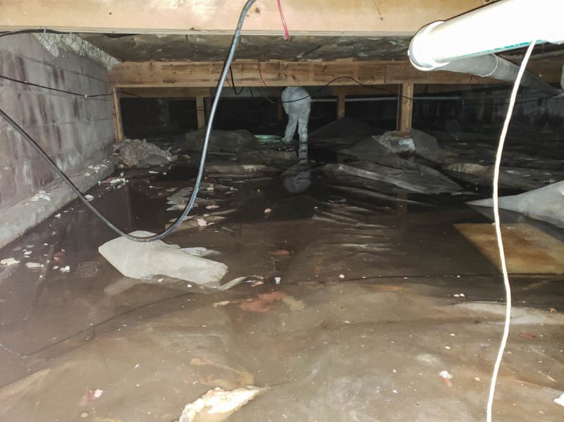 Before and After Basement Cleanup