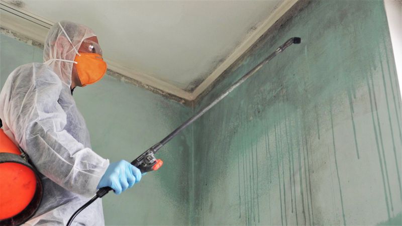 Basement Mold Remediation in Jupiter, FL