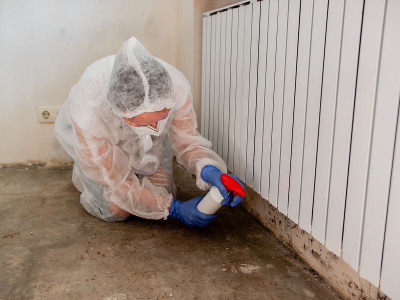 Basement Mold Remediation in Broward County, FL