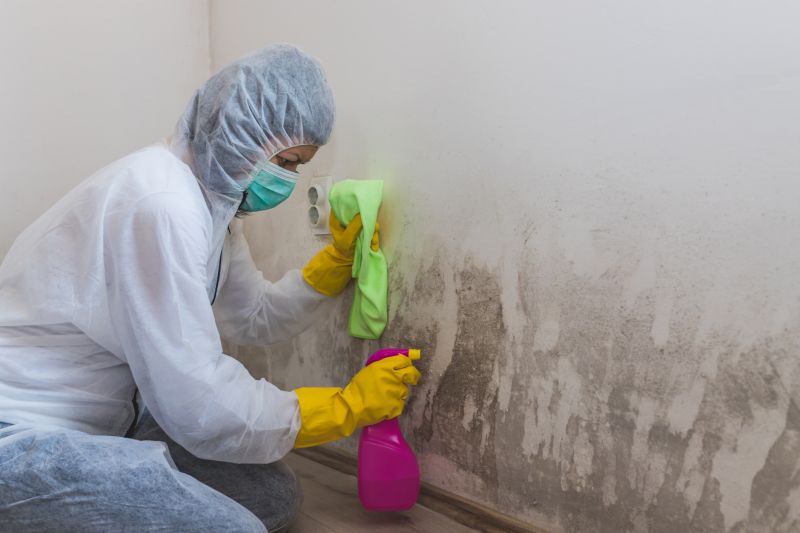Basement Mold Removal in Broward County, FL