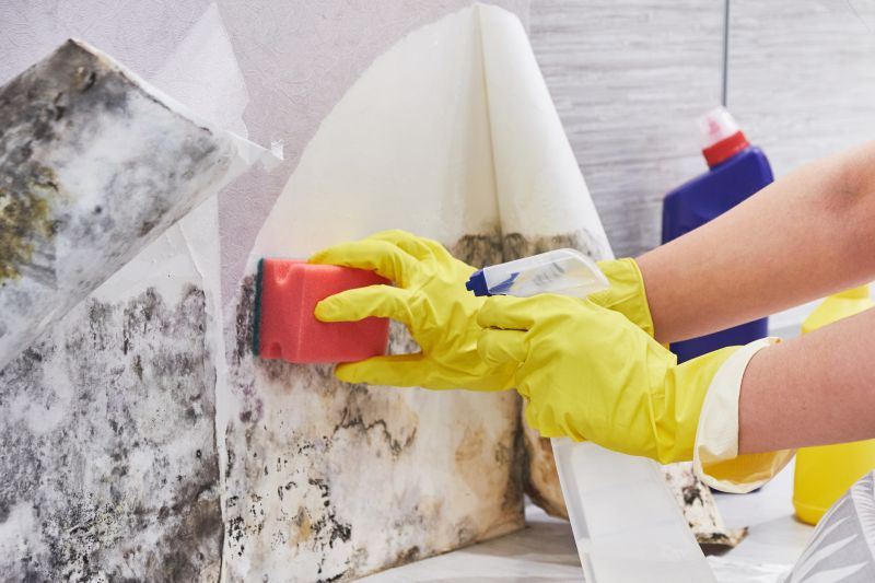 Basement Mold Removal in Boca Raton, FL