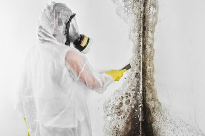 Basement Mold Removal in Fort Lauderdale, FL