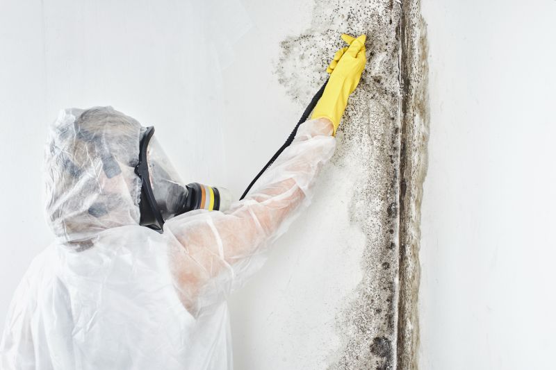 Black Mold Removal in Bergen County, NJ