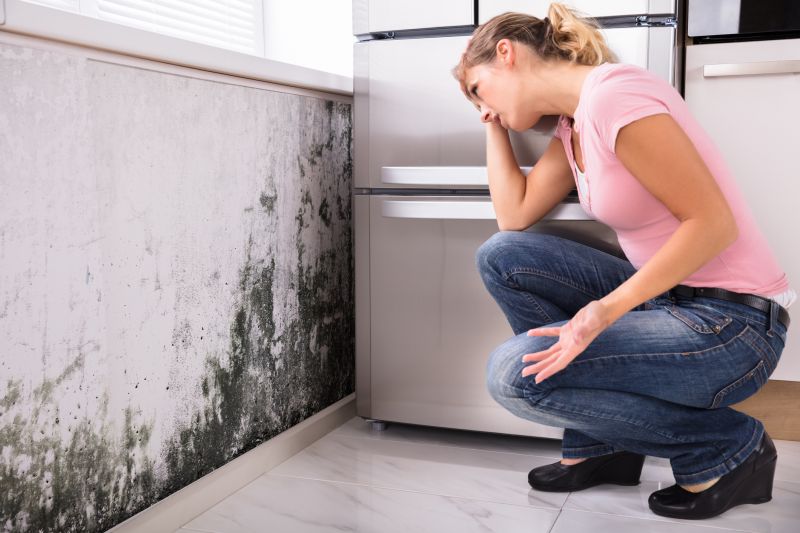 Black Mold Removal in Weatherford, TX