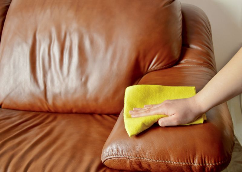 Loveseat Cleaning in Sanford, FL