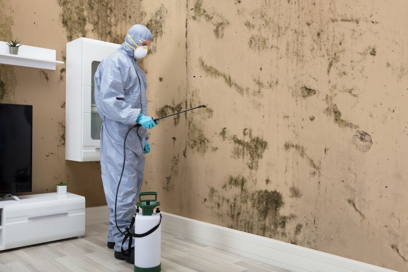 Mold Abatement in Fort Worth, TX
