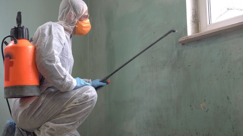 Mold Abatement in Boca Raton, FL
