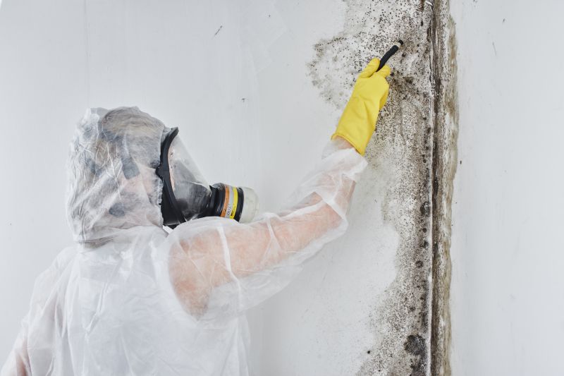 Mold Abatement in Broward County, FL