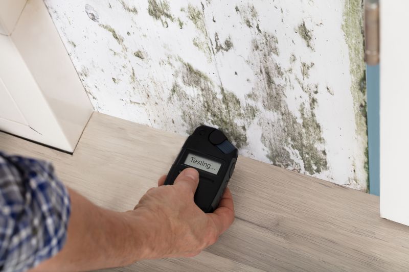 Mold Detection in Mckinney, TX