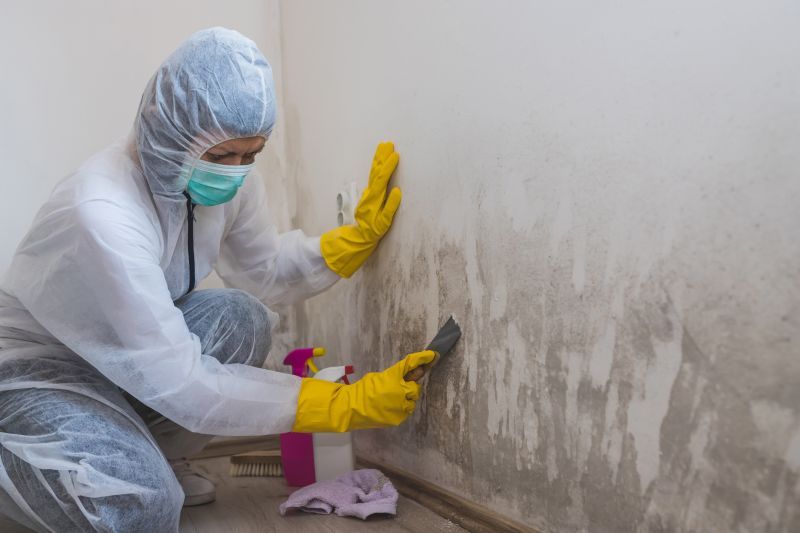 Mold Mitigation Service in Fort Lauderdale, FL