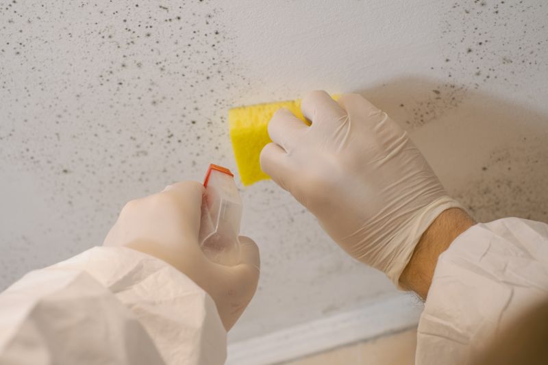Mold Remediation Service in Broward County, FL