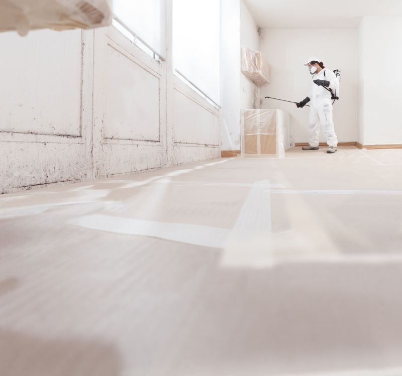 Mold Removal in Jupiter, FL