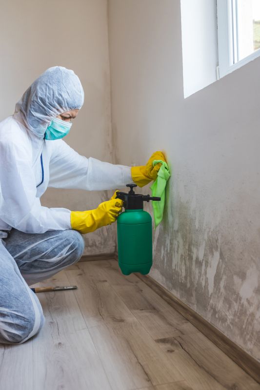 Mold Restoration in Jupiter, FL