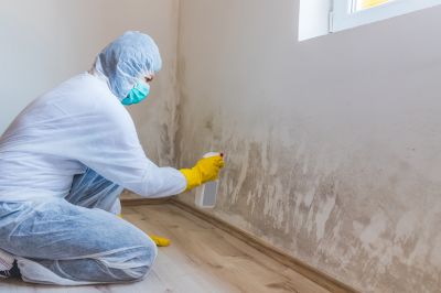 Mold Treatment Service in Frisco, TX