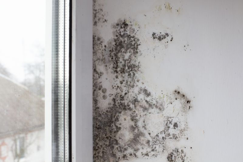 Mold Treatment Service in Fort Worth, TX