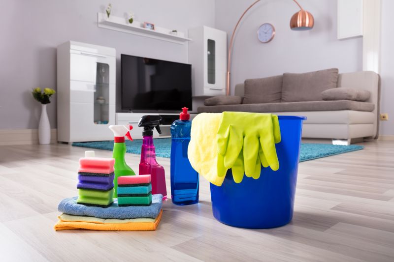 Products For Basement Cleanings in use