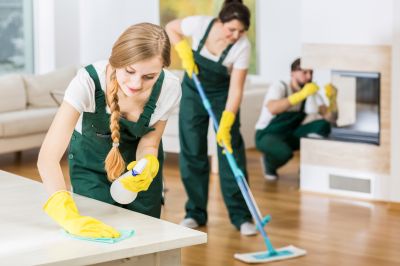 Cleaning Franchise Chains