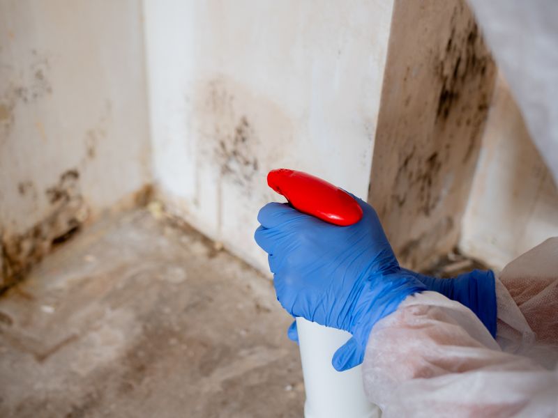 Attic Mold Remediation in Essex County, NJ