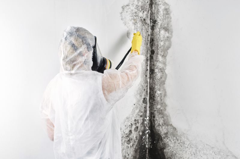Attic Mold Removal in Frisco, TX