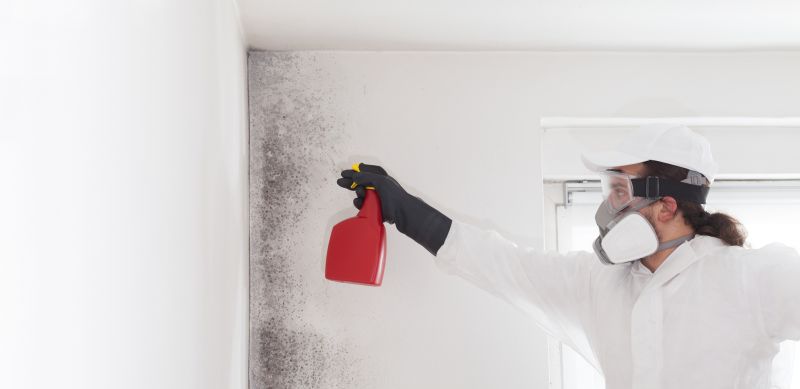 Crawlspace Mold Remediation in Fort Lauderdale, FL