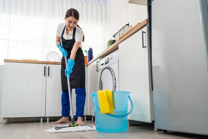 Kitchen Cleaning in Bellevue, WA