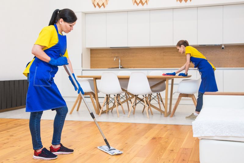 Kitchen Cleaning Service in Bellevue, WA