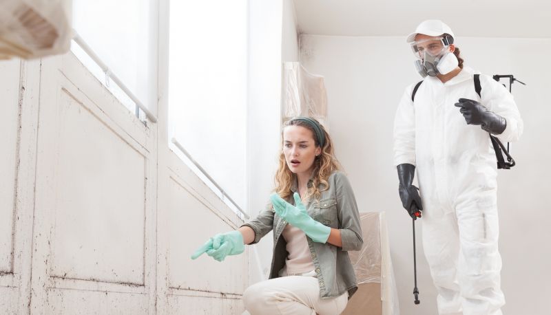 Mold Mitigation Service in Jupiter, FL